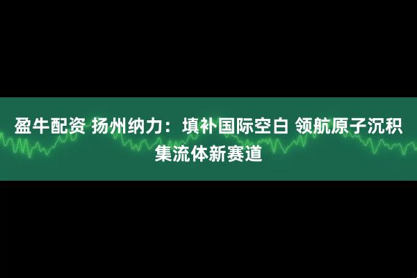 盈牛配资 扬州纳力：填补国际空白 领航原子沉积集流体新赛道