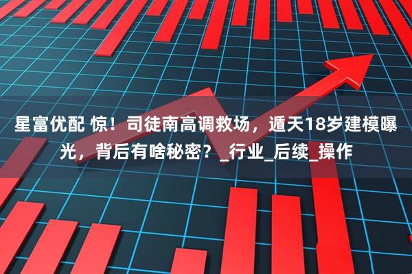 星富优配 惊！司徒南高调救场，遁天18岁建模曝光，背后有啥秘密？_行业_后续_操作