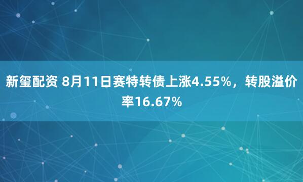 新玺配资 8月11日赛特转债上涨4.55%，转股溢价率16.67%