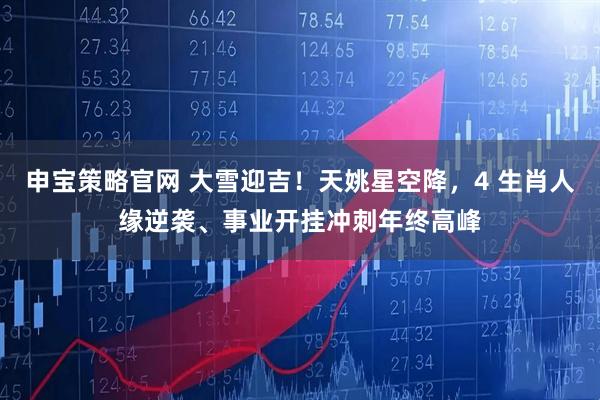申宝策略官网 大雪迎吉!天姚星空降,4 生肖人缘逆袭、事业开挂冲刺年终高峰