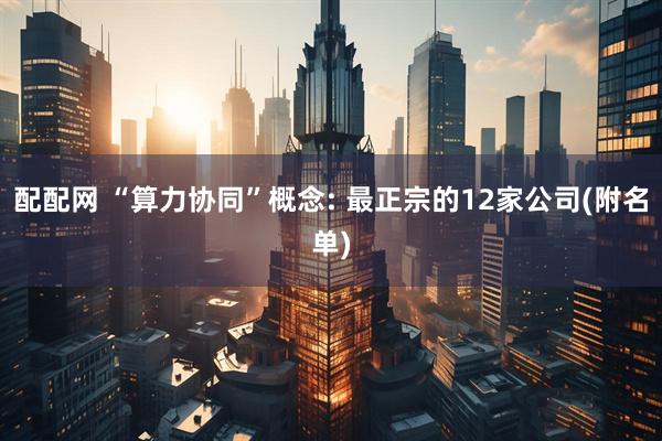 配配网 “算力协同”概念: 最正宗的12家公司(附名单)